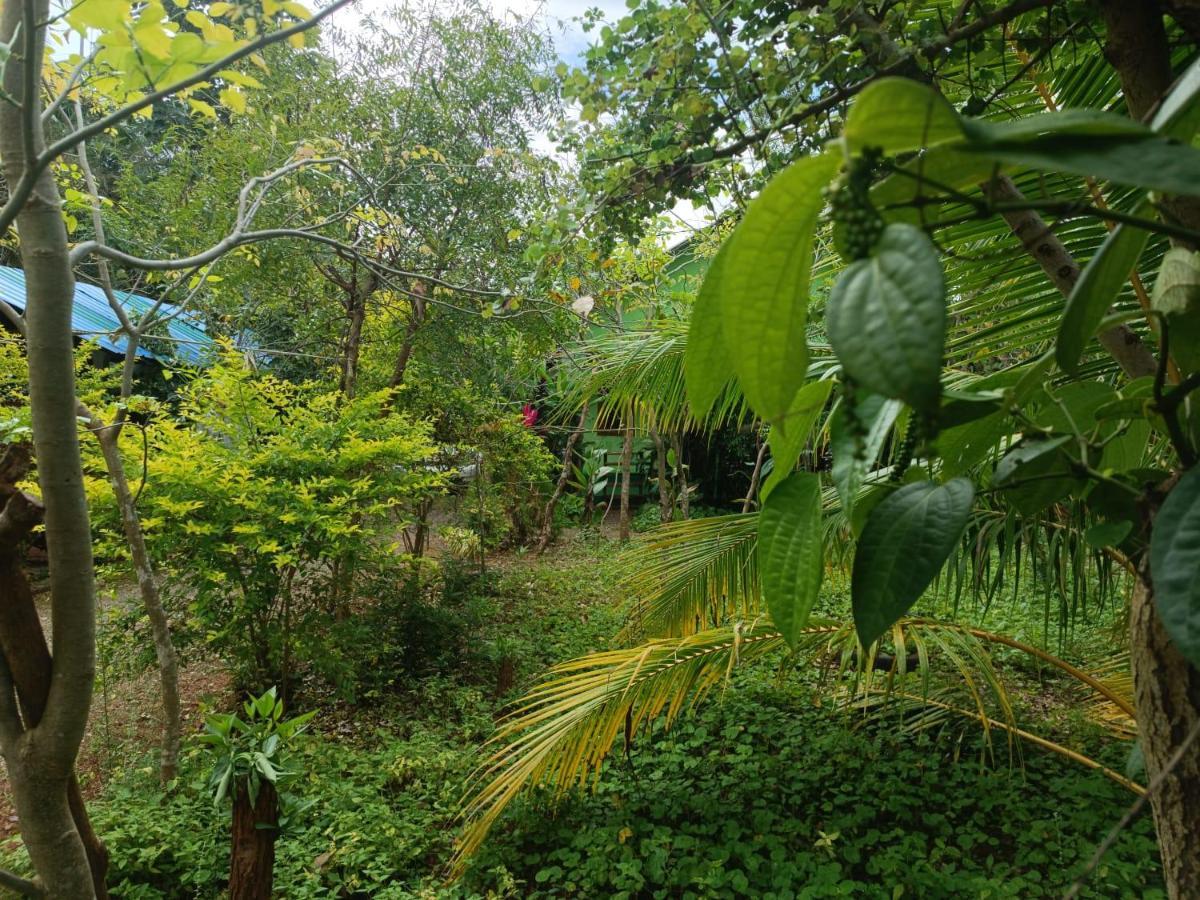 Forest Villa Nature Resort Anuradhapura Exterior photo