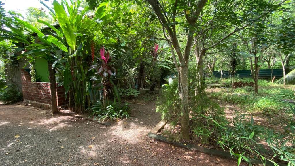 Forest Villa Nature Resort Anuradhapura Exterior photo