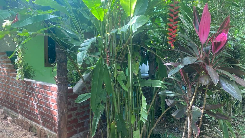 Forest Villa Nature Resort Anuradhapura Exterior photo