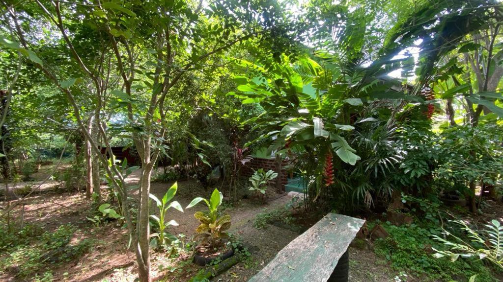 Forest Villa Nature Resort Anuradhapura Exterior photo