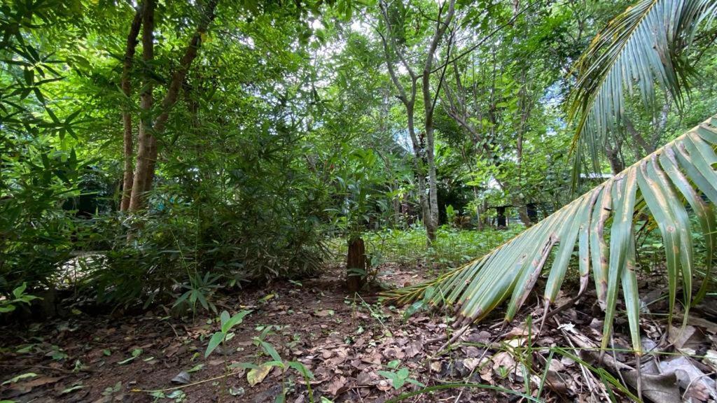 Forest Villa Nature Resort Anuradhapura Exterior photo