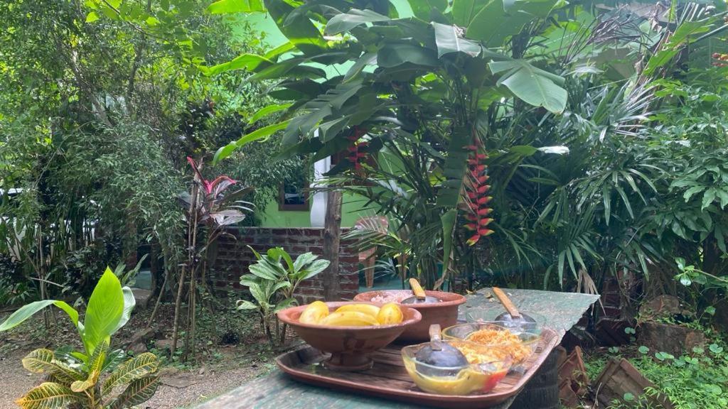 Forest Villa Nature Resort Anuradhapura Exterior photo