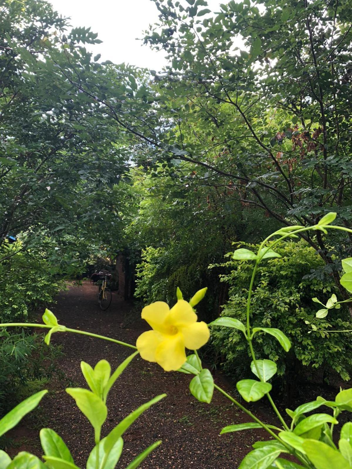 Forest Villa Nature Resort Anuradhapura Exterior photo