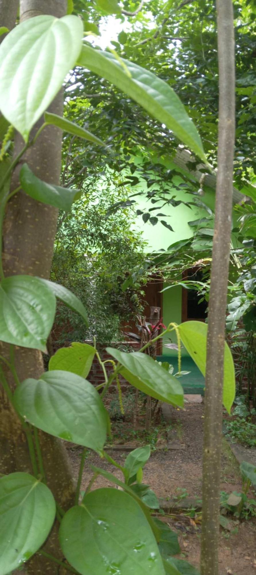 Forest Villa Nature Resort Anuradhapura Exterior photo