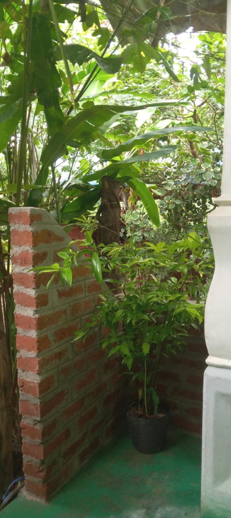 Forest Villa Nature Resort Anuradhapura Exterior photo