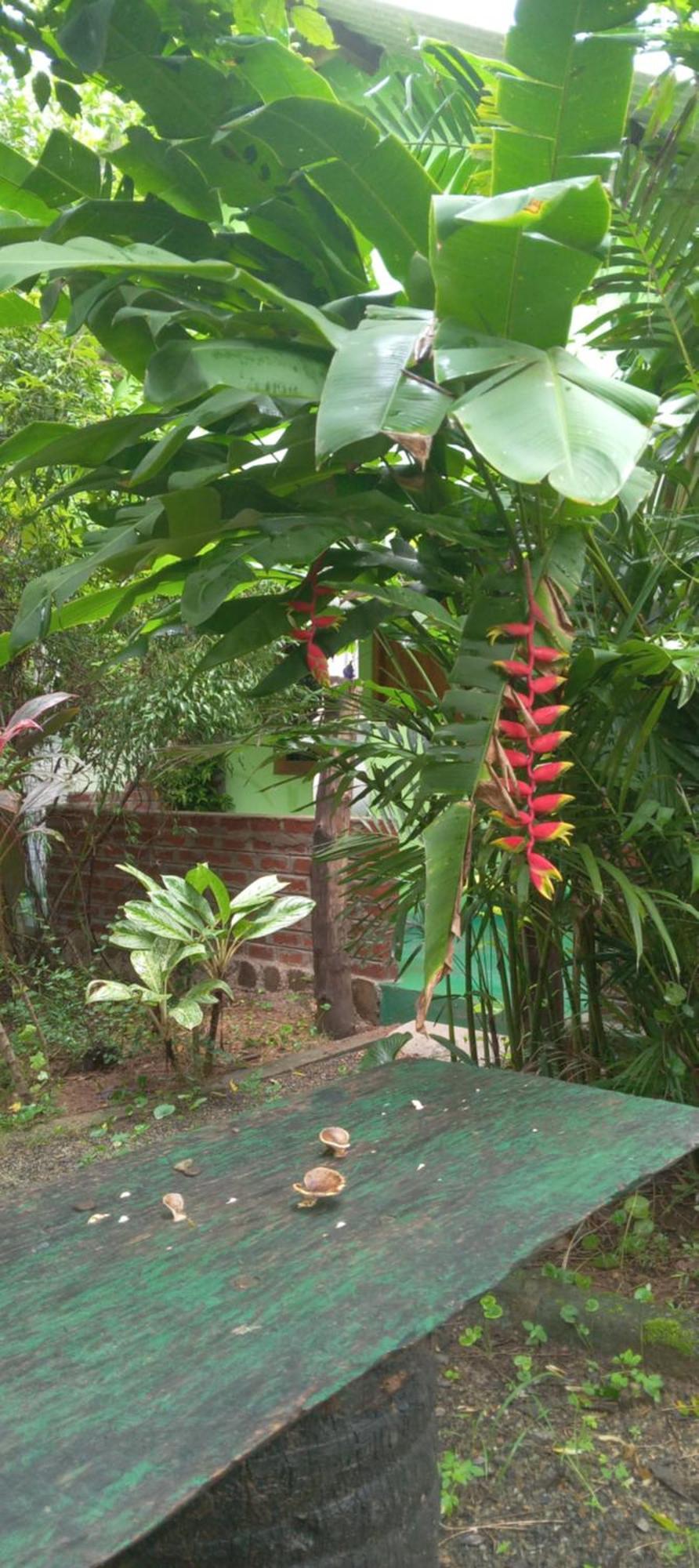 Forest Villa Nature Resort Anuradhapura Exterior photo