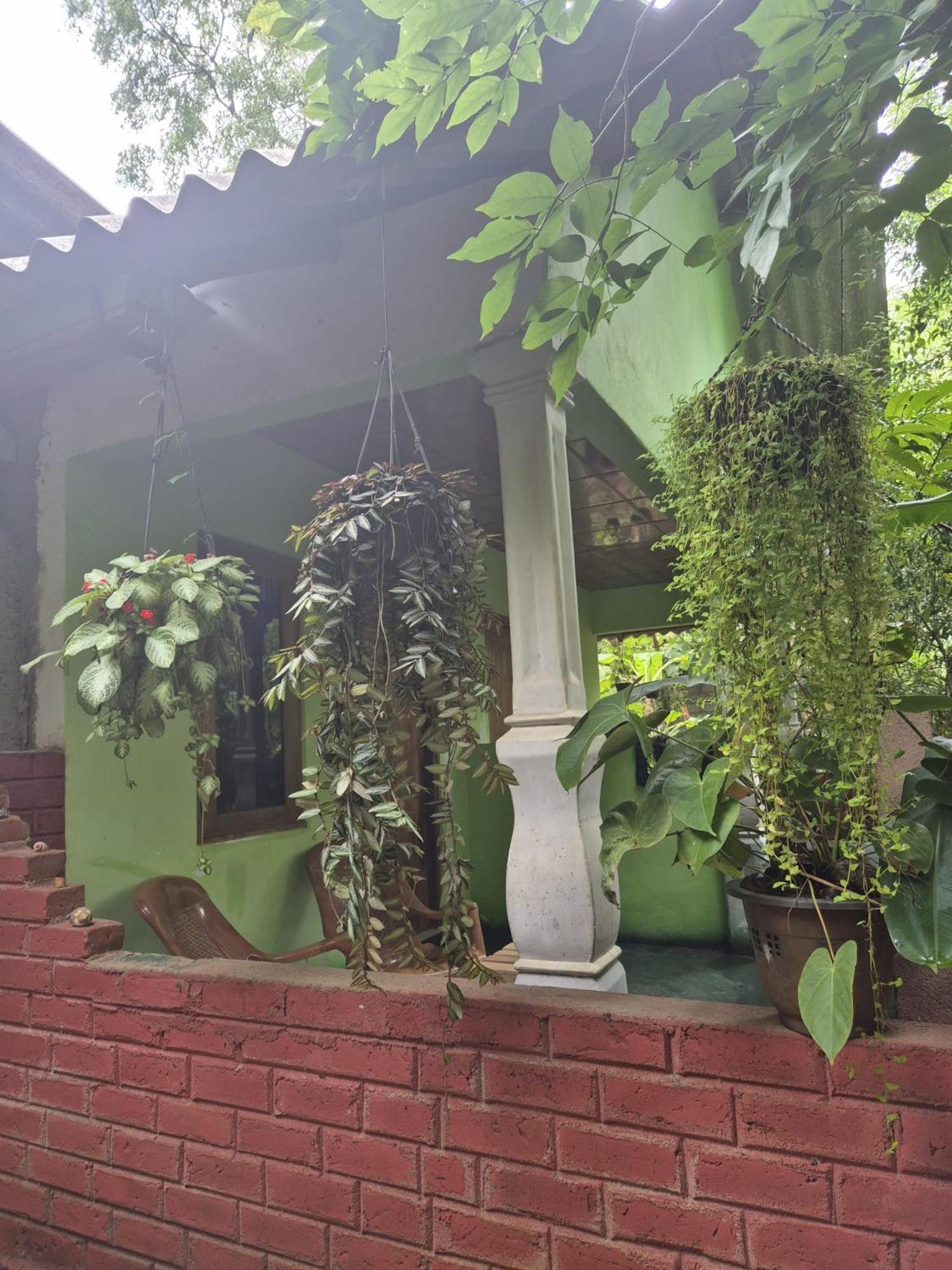 Forest Villa Nature Resort Anuradhapura Exterior photo
